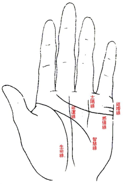 2條生命線|【手相館】掌紋 (生命線、感情線、智慧線、婚姻線、太陽線、火。